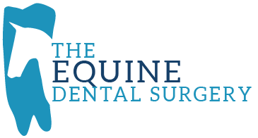 The Equine Dental Surgery